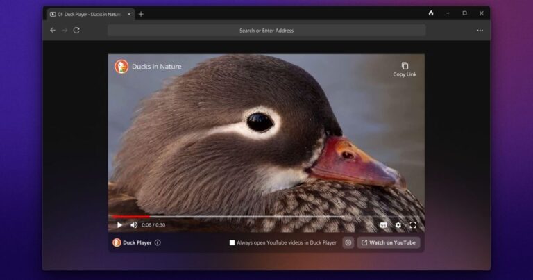 DuckDuckGo’s Windows browser is here to protect your privacy DuckDuckGo’s Windows browser is here to protect your privacy